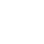 digital vehicle inspection 01.png