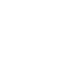 digital vehicle inspection 01.png