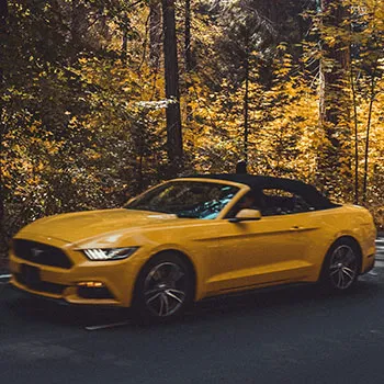 Ford Repair and Service in Sunnyvale, CA