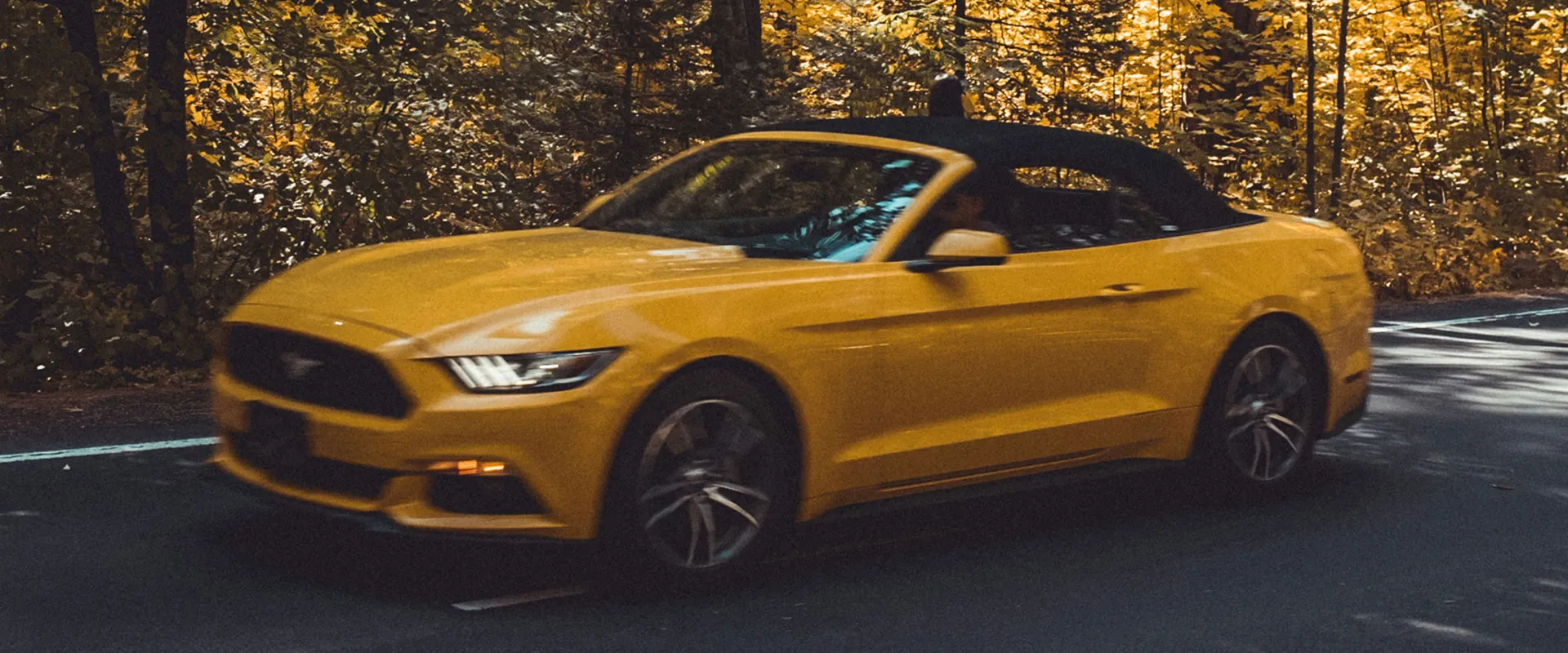 Ford Repair and Service near Sunnyvale, CA