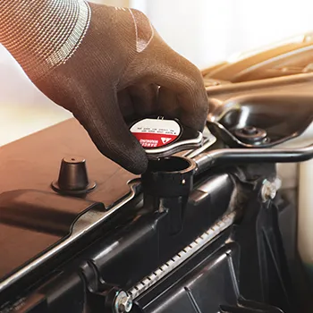 Engine Cooling System Repair in Sunnyvale, CA in Sunnyvale, CA